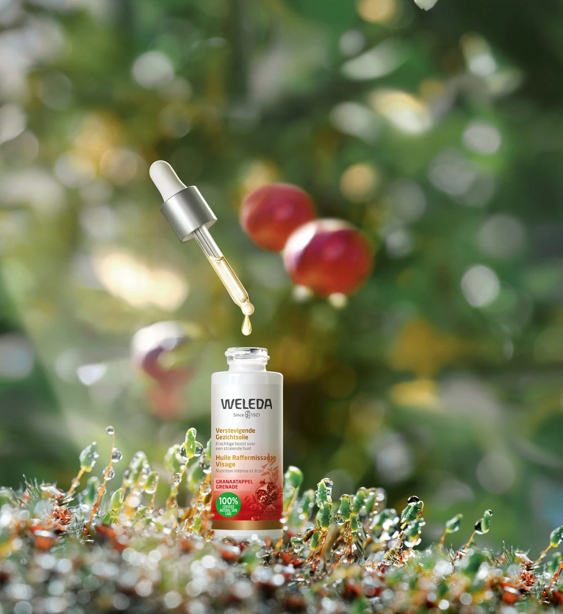 Weleda Granaatappel Verstevigende Gezichtsolie 4 Weleda Granaatappel Verstevigende Gezichtsolie - Afbeelding 2