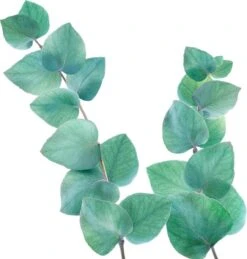 Kneipp Refreshing - Badolie -Verzorgingsproducten 1145x1200 3