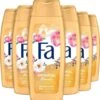 Fa Oriental Moments Douchegel 6 X 250ml - Grootverpakking -Verzorgingsproducten 1151x1200 2