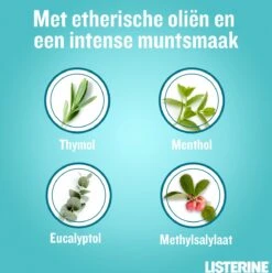 Listerine Cool Mint Mondwater, Mondspoeling Met Intens Frisse Muntsmaak, Bestrijdt Schadelijke Bacteriën Voor Gezond Tandvlees, 8 X 95 Ml -Verzorgingsproducten 1194x1200 8