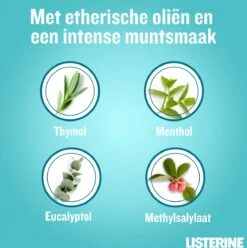 LISTERINE® Fresh Mint, Mondspoeling Met Essentiële Oliën Voor Een Langdurig Frisse Adem, 3x600ml 17 LISTERINE® Fresh Mint, Mondspoeling Met Essentiële Oliën Voor Een Langdurig Frisse Adem, 3x600ml -Verzorgingsproducten 1196x1200 15