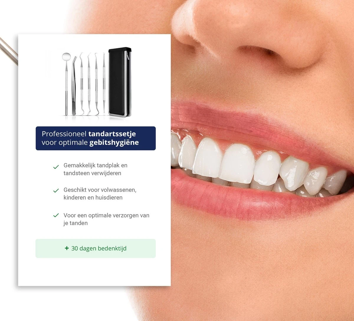Tandarts Setje - Professioneel - Tandsteen Verwijderaar – Mondspiegel – Tandartshaakje – Tandsteenhaakje - Gebitsverzorging – Inclusief Luxe Etui - 6-delig - RVS 4 Tandarts Setje - Professioneel - Tandsteen Verwijderaar – Mondspiegel – Tandartshaakje – Tandsteenhaakje - Gebitsverzorging – Inclusief Luxe Etui - 6-delig - RVS - Afbeelding 2