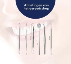 Tandarts Setje - Professioneel - Tandsteen Verwijderaar – Mondspiegel – Tandartshaakje – Tandsteenhaakje - Gebitsverzorging – Inclusief Luxe Etui - 6-delig - RVS 17 Tandarts Setje - Professioneel - Tandsteen Verwijderaar – Mondspiegel – Tandartshaakje – Tandsteenhaakje - Gebitsverzorging – Inclusief Luxe Etui - 6-delig - RVS -Verzorgingsproducten 1200x1087 8