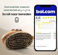 100% Natuurlijke Lichaamsborstel Met Lange Afneembare Steel - Rugborstel Badborstel Doucheborstel - Dry Brushing Huidborstel - Droogborstel - Douche -Verzorgingsproducten 1200x1152 4