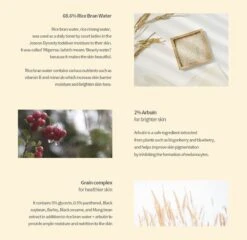 Glow Deep Serum Arbutan + Ricebran Tegen Pigmentatie -Verzorgingsproducten 1200x1167 2