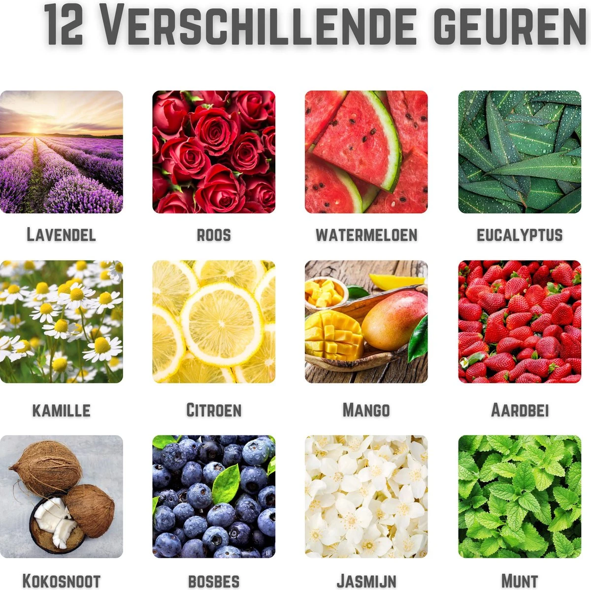 Bruisballen - Bruisballen Voor Bad - Kind - 12 Stuks - XXL Formaat - 12 Verschillende Geuren - 100 Gram 9 Bruisballen - Bruisballen Voor Bad - Kind - 12 Stuks - XXL Formaat - 12 Verschillende Geuren - 100 Gram - Afbeelding 7