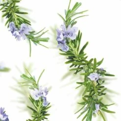 Kneipp New Energy - Douchegel 13 Kneipp New Energy - Douchegel -Verzorgingsproducten 1200x1200 1061