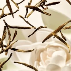 RITUALS The Ritual Of Karma Body Scrub - 300 G 8 RITUALS The Ritual Of Karma Body Scrub - 300 G -Verzorgingsproducten 1200x1200 1151