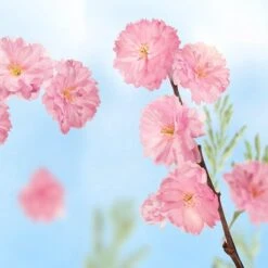 Kneipp Favourite Time - Douchegel -Verzorgingsproducten 1200x1200 1201