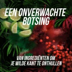 Axe Wild Fresh Bergamot & Pink Pepper Deodorant Bodyspray - 6 X 150 Ml - Voordeelverpakking -Verzorgingsproducten 1200x1200 1249