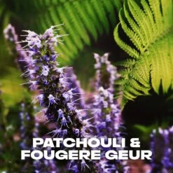 Axe Musk Bodyspray Deodorant - 6 X 150 Ml - Voordeelverpakking -Verzorgingsproducten 1200x1200 1280