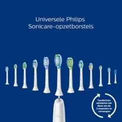 Philips Sonicare ProtectiveClean 4300 HX6800/35 - Elektrische Tandenborstel - Roze & Zwart 27 Philips Sonicare ProtectiveClean 4300 HX6800/35 - Elektrische Tandenborstel - Roze & Zwart -Verzorgingsproducten 1200x1200 1345