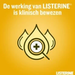 LISTERINE Fresh Ginger & Lime Mondwater, Met Gember- En Limoenextract, Mondspoeling Zonder Alcohol, Voor Een Frisse Adem, 3 X 500 Ml -Verzorgingsproducten 1200x1200 1583