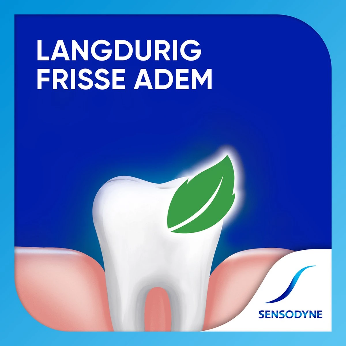Sensodyne Freshmint Tandpasta Voor Gevoelige Tanden 4x75ml 6 Sensodyne Freshmint Tandpasta Voor Gevoelige Tanden 4x75ml - Afbeelding 4