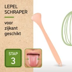 Nutty Green 3-Delige Tongschraper Set Inclusief Opbergcase - Tongreiniging Mondverzorging - Tongreiniger Mondhygiëne - RVS Schraper Voor Schone Tong Reiniging - Tongborstel Tegen Slechte Adem - Zero Waste Lifestyle -Verzorgingsproducten 1200x1200 1837
