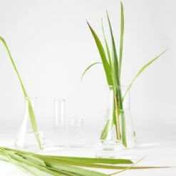 Garnier Skinactive Face Detox Reinigingsgel Verfrissende Citroengras - Normaal Tot Gemengde Huid - 6 X 150 Ml -Verzorgingsproducten 1200x1200 2043