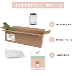 Dr. Green® 1x- Aloë Vera Blad - MAAK GEL IN 3 MINUTEN - 100% Puur - Biologisch -Verzorgingsproducten 1200x1200 675