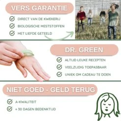 Dr. Green® 1x- Aloë Vera Blad - MAAK GEL IN 3 MINUTEN - 100% Puur - Biologisch -Verzorgingsproducten 1200x1200 679
