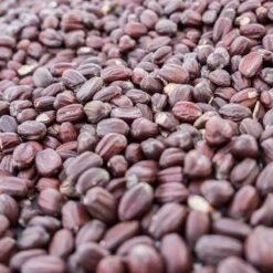 Merkloos Biologische Jojoba Olie Uit India - 100% Puur, Koudgeperst 6 Merkloos Biologische Jojoba Olie Uit India - 100% Puur, Koudgeperst -Verzorgingsproducten 1200x1200 691