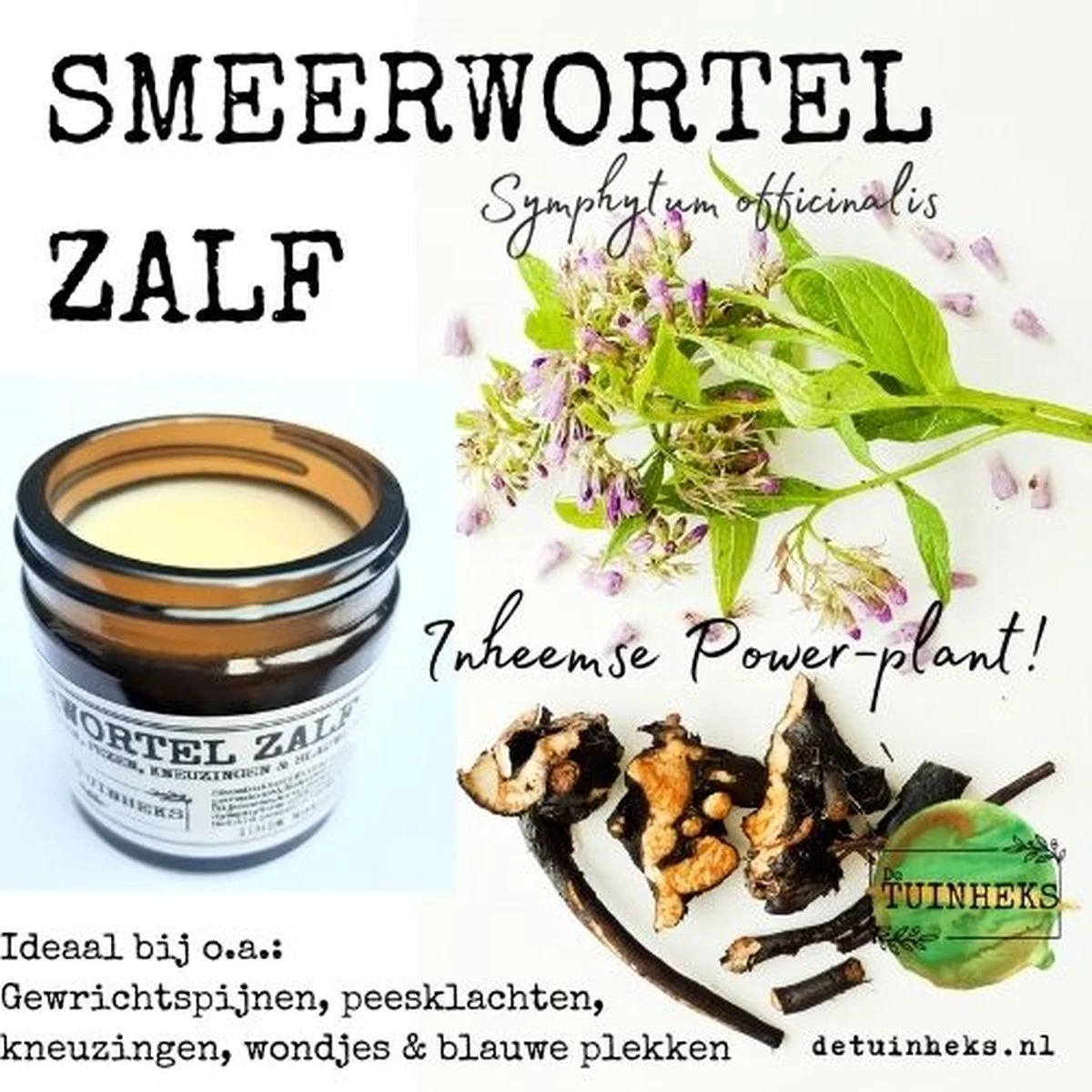 Smeerwortel Zalf 60 Ml, Handgemaakte Smeerwortelzalf 5 Smeerwortel Zalf 60 Ml, Handgemaakte Smeerwortelzalf - Afbeelding 3