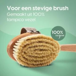 100% Vegan Lichaamsborstel Met Lange Afneembare Steel - Rugborstel/Badborstel/Doucheborstel - Dry Brushing Huidborstel - Droogborstel - Douche -Verzorgingsproducten 1200x1200 873