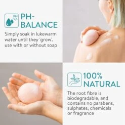 Navaris Set Van 8 Konjac Sponzen - Natuurlijke Sponzen Voor Gezichtsreiniging - Reinigt De Rijpe, Onzuivere, Droge, Gevoelige En Normale Huid - Vegan -Verzorgingsproducten 1200x1200 924