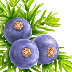 Kneipp Muscle Soothing - Douchegel -Verzorgingsproducten 1200x1200 933