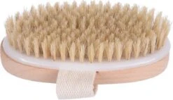 Merkloos Dry Brushing Huidborstel - Anti Cellulitis Borstel - Droog Borstelen -Verzorgingsproducten 1200x691 1