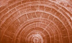 Kneipp Men - Warm Woods - Douche 2-in-1 -Verzorgingsproducten 1200x720 3