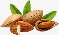 Amandelolie 100ml | 100% Puur & Onbewerkt | Koudgeperste Zoete Amandel Olie Voor Haar, Huid En Lichaam -Verzorgingsproducten 1200x723