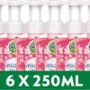 Dettol - Handzeep - Zachte Mousse - Antibacterieel - Roos & Kersenbloesem - 6 X 250 Ml -Verzorgingsproducten 1200x752