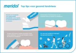 Meridol Mondwater Tandvlees - 2 X 400 Ml - Voordeelverpakking -Verzorgingsproducten 1200x845 3