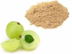 Amla Poeder 100% Zuiver 100gr - Gooseberry Powder -Verzorgingsproducten 1200x894