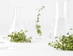 Garnier Bio Perfectionerende Toner Met Thijm - Voor Alle Huidtypen - 150ml -Verzorgingsproducten 1200x911 1