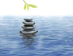 Kneipp Me-Time - Douche Foam -Verzorgingsproducten 1200x921 2