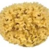 Natuur Spons Voor Het Lichaam - 10 Cm -Verzorgingsproducten 1200x977