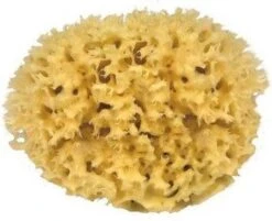 Natuur Spons Voor Het Lichaam - 10 Cm