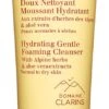 Clarins Hydrating Gentle Foaming Cleanser 125 Ml -Verzorgingsproducten 442x1200 9