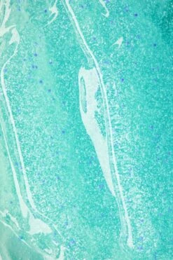 NIVEA Essentials Dagelijkse Reiniging - 150 Ml - Reinigingsscrub -Verzorgingsproducten 800x1200 27