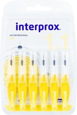 Interprox Interdentaal Mini 3 Mm - Ragers - 3 X 6 Stuks - Voordeelverpakking